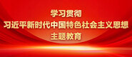 操我小骚逼小视频学习贯彻习近平新时代中国特色社会主义思想主题教育_fororder_ad-371X160(2)